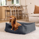 Intex Cuccia Gonfiabile per Cani, con Mini Pompa Manuale, 79x58x22 cm, Peso Massimo 9,1 kg