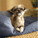 Intex Cuccia Gonfiabile per Cani, con Mini Pompa Manuale, 97x74x23 cm, Peso Massimo 22,7 kg